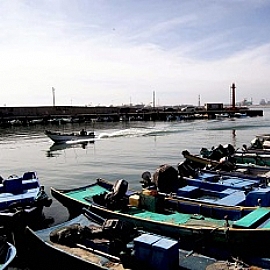 永安區—石斑魚佔了全國四分之一的重要產地